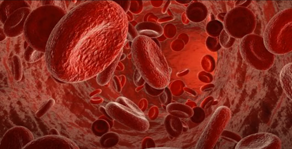 Blood cells