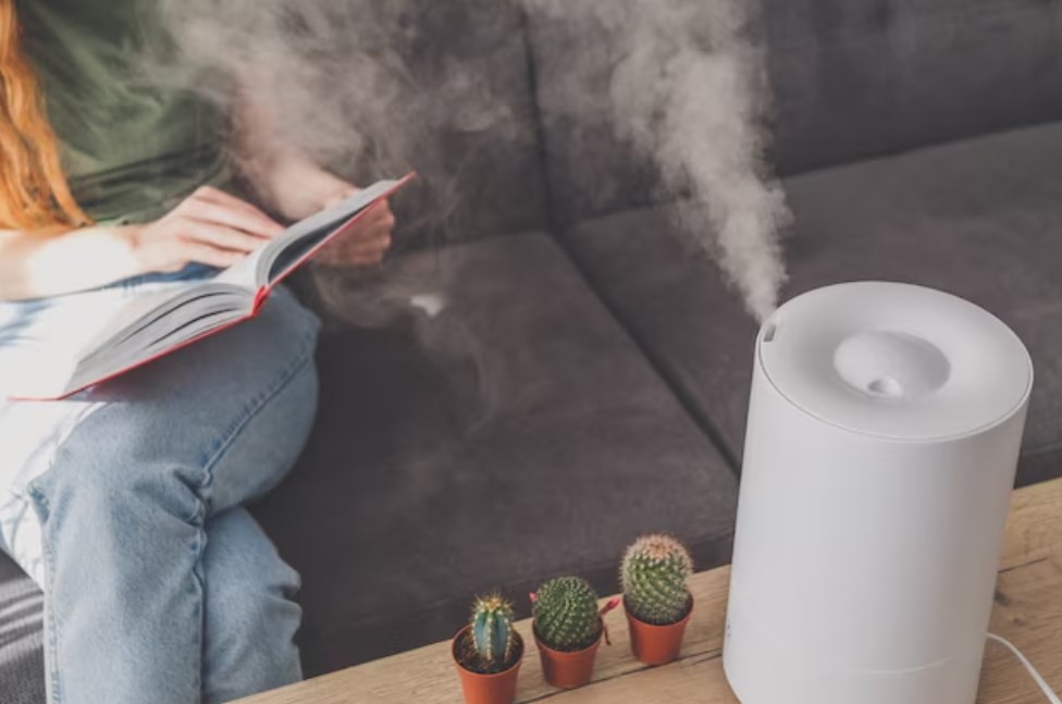 a household humidifier standing on a table with three small cactuses near a woman reading a book on a grey sofa